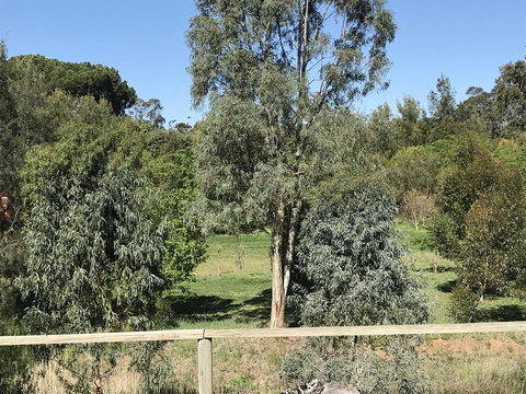 Adagio In Auburn - Kalgoorlie Accommodation 25