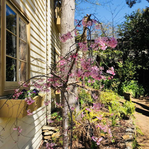 Aldgate Creek Cottage Bed And Breakfast - Kalgoorlie Accommodation 19