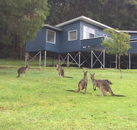 Blue House Denmark - Kalgoorlie Accommodation