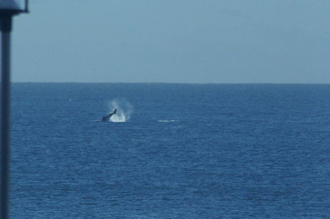 Noah\'s On The Beach - Kalgoorlie Accommodation 13