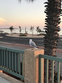 Shark Bay Seafront Apartments