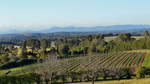 Grapevines Boutique Accommodation - Kalgoorlie Accommodation 21