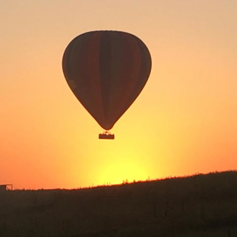 Grapevines Boutique Accommodation - Kalgoorlie Accommodation 13