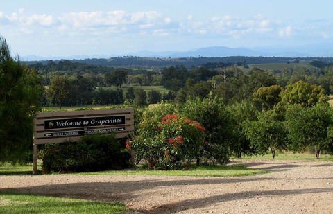 Grapevines Boutique Accommodation - Kalgoorlie Accommodation 15