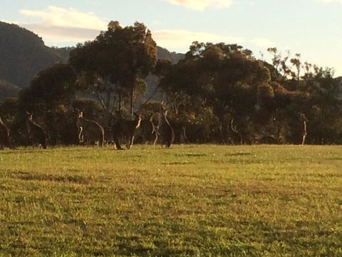 Grapevines Boutique Accommodation - Kalgoorlie Accommodation 26