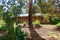 Book Mundaring Accommodation Vacations Kalgoorlie Accommodation Kalgoorlie Accommodation