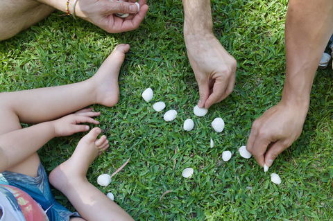 Broadwater Resort WA Tourism Awards 2024 Gold Winner - Kalgoorlie Accommodation 8