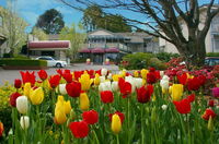 Book Leura Accommodation Vacations Kalgoorlie Accommodation Kalgoorlie Accommodation