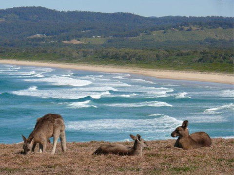High Tide At Emerald - Kalgoorlie Accommodation 13