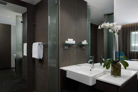 Rydges Sydney Airport Hotel - Kalgoorlie Accommodation 3