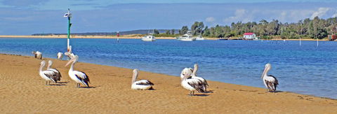 Pelican Motor Inn - Kalgoorlie Accommodation 29