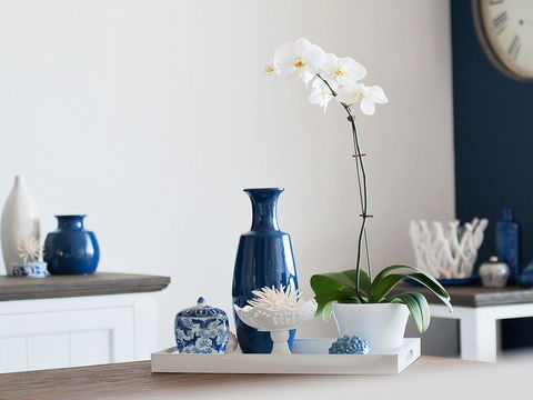 Blue View @ Fingal Bay - Kalgoorlie Accommodation 8