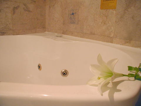 Novotel Sydney Brighton Beach - Kalgoorlie Accommodation 11