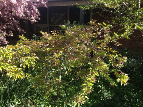 Warriwillah - Millthorpe's Country Motel - Kalgoorlie Accommodation 6