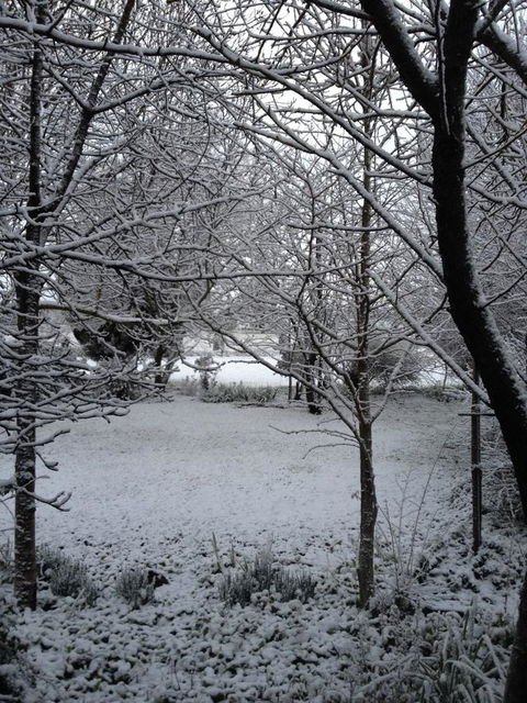 Warriwillah - Millthorpe's Country Motel - Kalgoorlie Accommodation 17