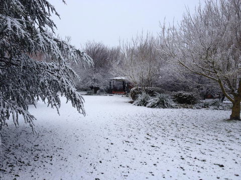 Warriwillah - Millthorpe's Country Motel - Kalgoorlie Accommodation 12