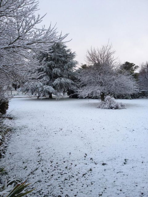 Warriwillah - Millthorpe's Country Motel - Kalgoorlie Accommodation 15