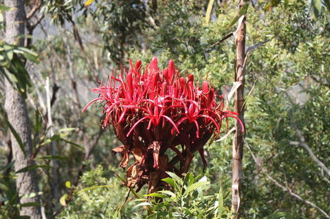 Ambience - Kalgoorlie Accommodation 30