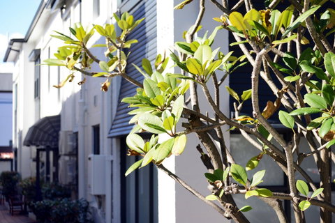 Avoca Randwick By Sydney Lodges - Kalgoorlie Accommodation 34