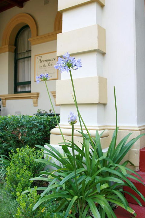 Avonmore On The Park Boutique Hotel - Kalgoorlie Accommodation 15