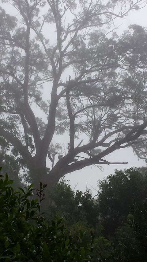 Lark Cottage - Kalgoorlie Accommodation 20