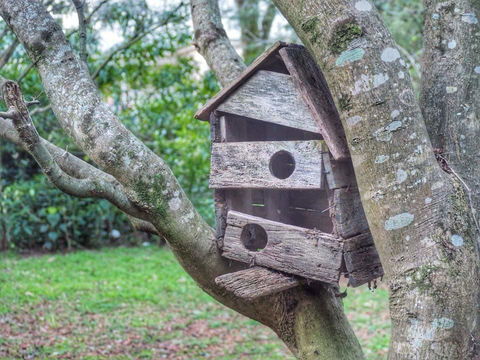 Lark Cottage - Kalgoorlie Accommodation 3