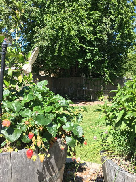 99 Hill Street Apartments - Kalgoorlie Accommodation 24