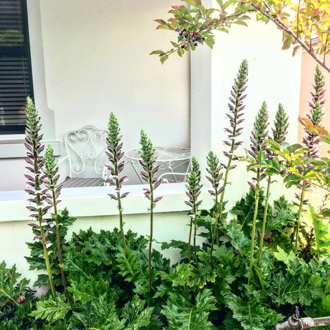 99 Hill Street Apartments - Kalgoorlie Accommodation 20