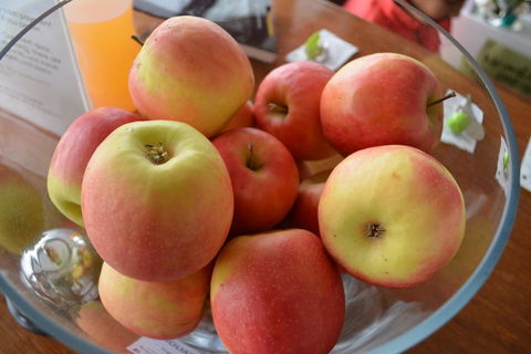 The Apple Inn - Kalgoorlie Accommodation 12