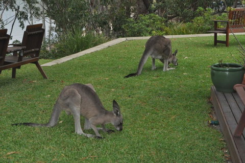 By The Beach B&B Self Contained Apartments - Kalgoorlie Accommodation 28