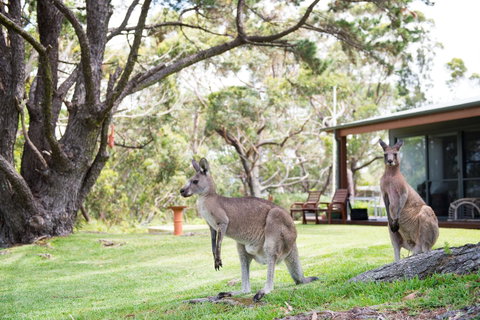 By The Beach B&B Self Contained Apartments - Kalgoorlie Accommodation 17
