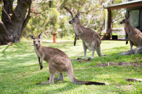 By The Beach B&B Self Contained Apartments - Kalgoorlie Accommodation 16