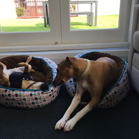 The Ultimo - Kalgoorlie Accommodation 5