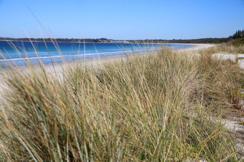 Sandy Toes Beach House Jervis Bay - 2min To Beach - Kalgoorlie Accommodation 23