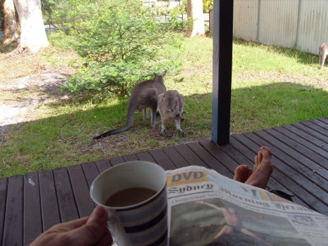 Bush & Bay Cottage - Kalgoorlie Accommodation 29