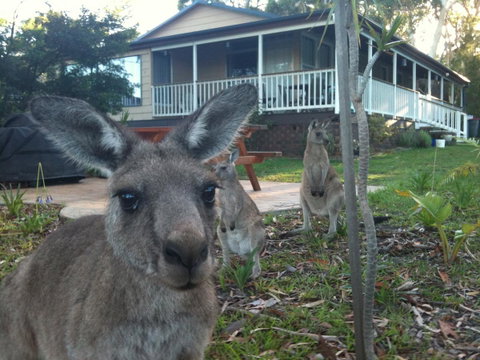Bush & Bay Cottage - Kalgoorlie Accommodation 0