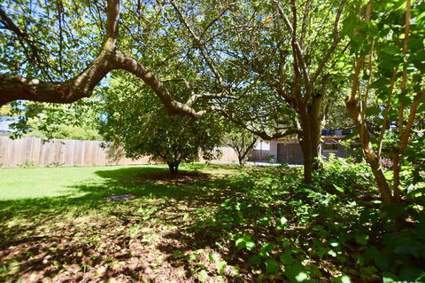 Wildlife Lodge Katoomba - Kalgoorlie Accommodation 26