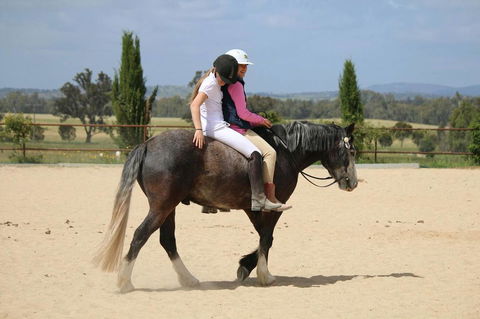 Belisi Farmstay Cottage - Kalgoorlie Accommodation 28