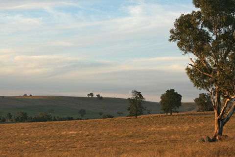 Belisi Farmstay Cottage - Kalgoorlie Accommodation 33