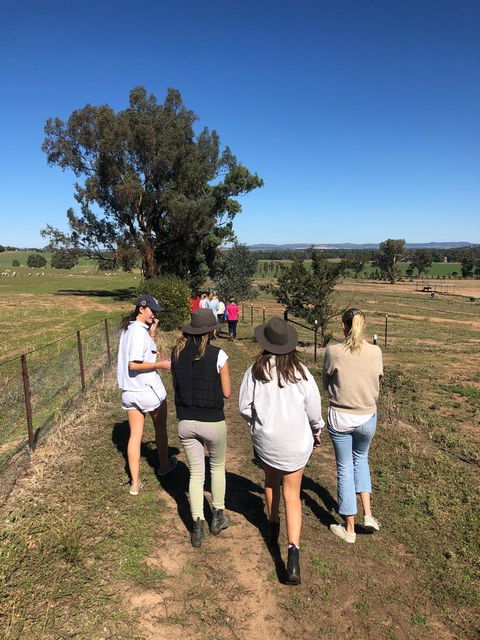 Belisi Farmstay Cottage - Kalgoorlie Accommodation 7