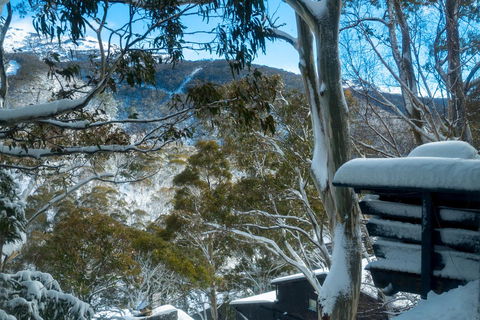 Pure Chalet Thredbo - Kalgoorlie Accommodation 30