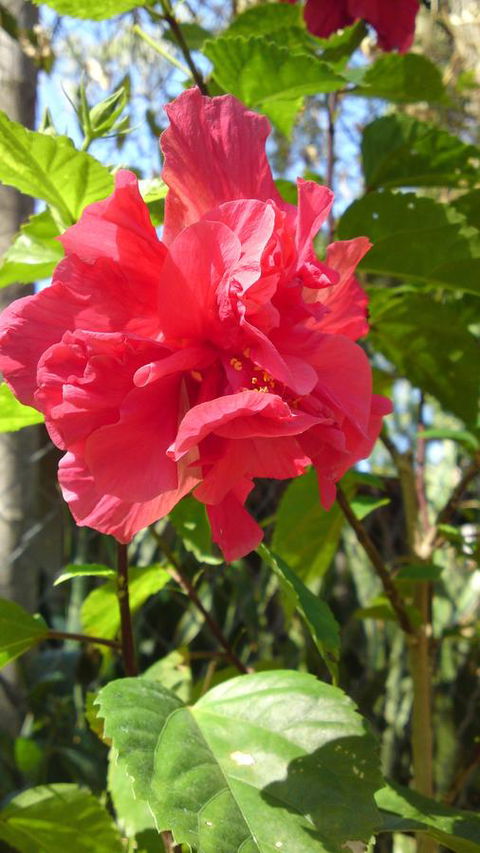 Darwin Beach Escape Holiday Home - Kalgoorlie Accommodation 24