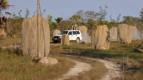 Darwin Beach Escape Holiday Home - Kalgoorlie Accommodation 40