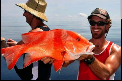 Darwin Beach Escape Holiday Home - Kalgoorlie Accommodation 39