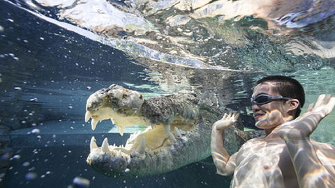 Darwin Beach Escape Holiday Home - Kalgoorlie Accommodation 33