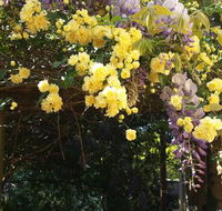 Bowral Road Bed and Breakfast - Kalgoorlie Accommodation
