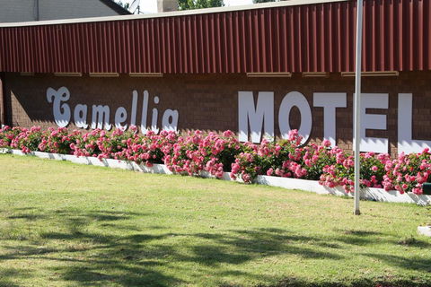 Camellia Motel - Kalgoorlie Accommodation 2