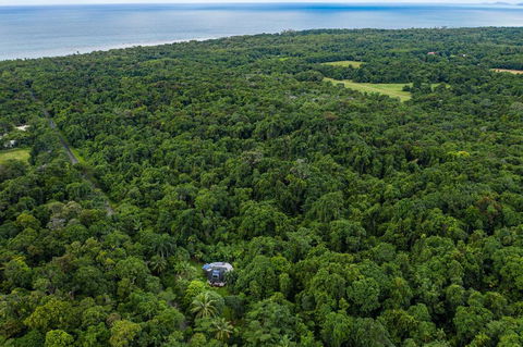 Cape Tribulation Holiday House - Kalgoorlie Accommodation 1