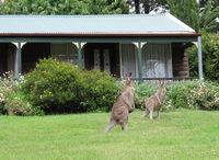 Book Mount Victoria Accommodation Vacations Kalgoorlie Accommodation Kalgoorlie Accommodation