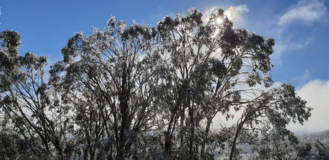 Cedarwood Apartments - Kalgoorlie Accommodation 1